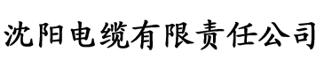 亚洲区二区一电缆厂logo